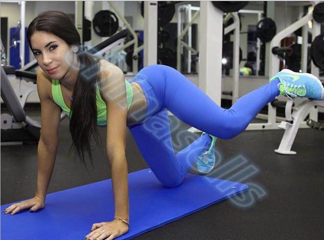 Women's Yoga Pants & Shorts 1pc